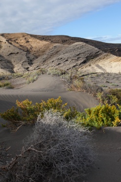 Tenerife