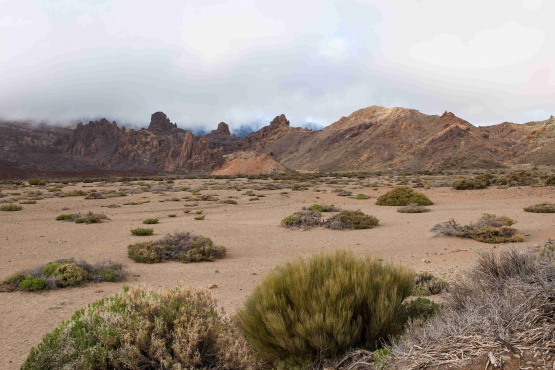 Tenerife